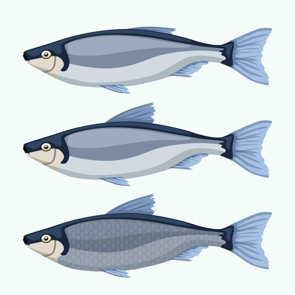 pescado conjunto en blanco vector