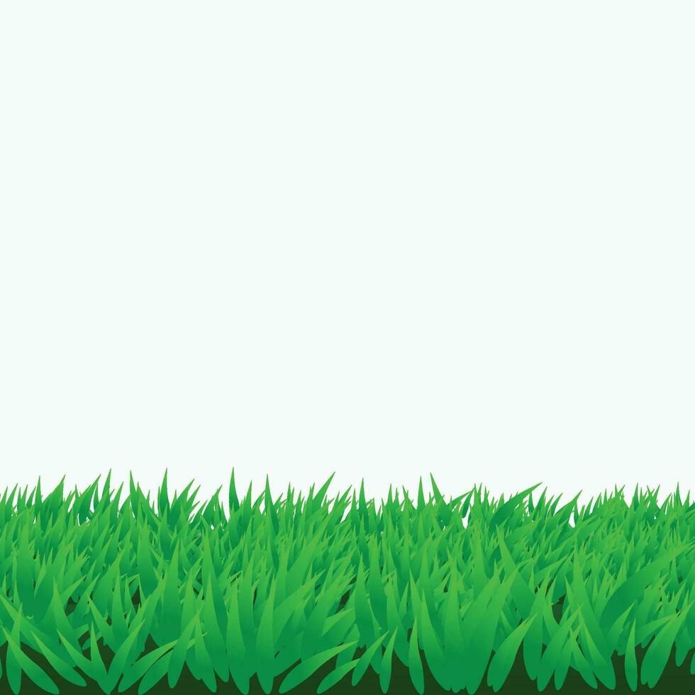 green grass isolated vector