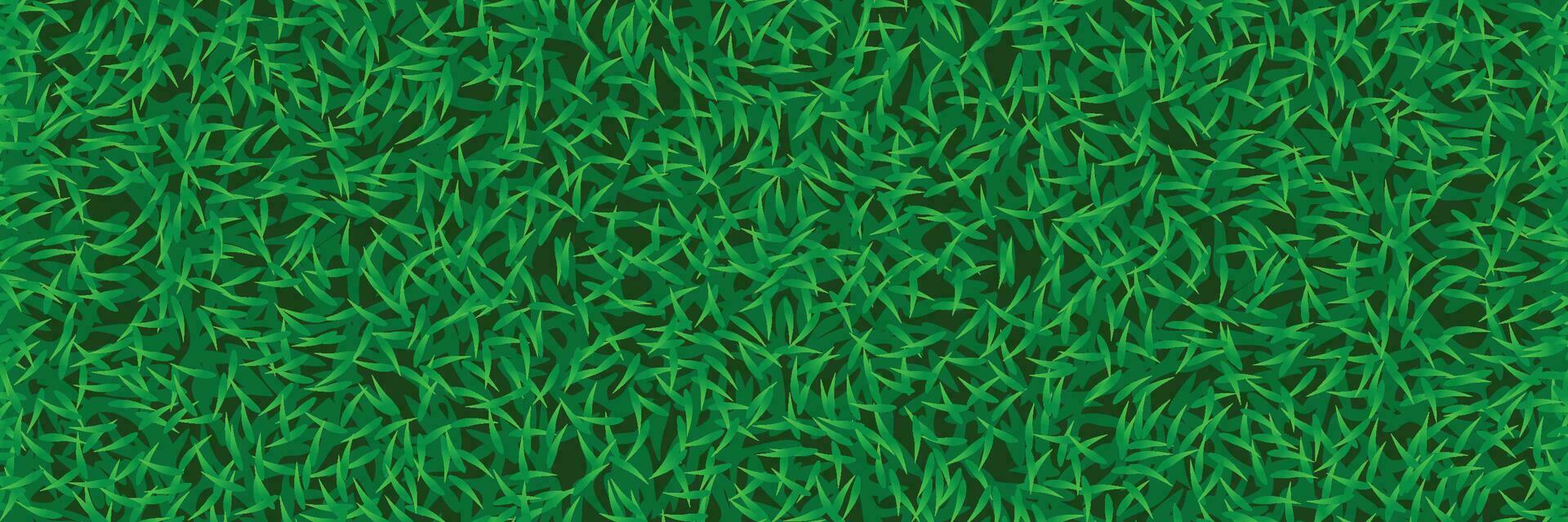 lawn grass wide background vector