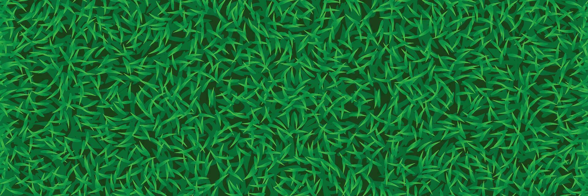 lawn grass wide background vector