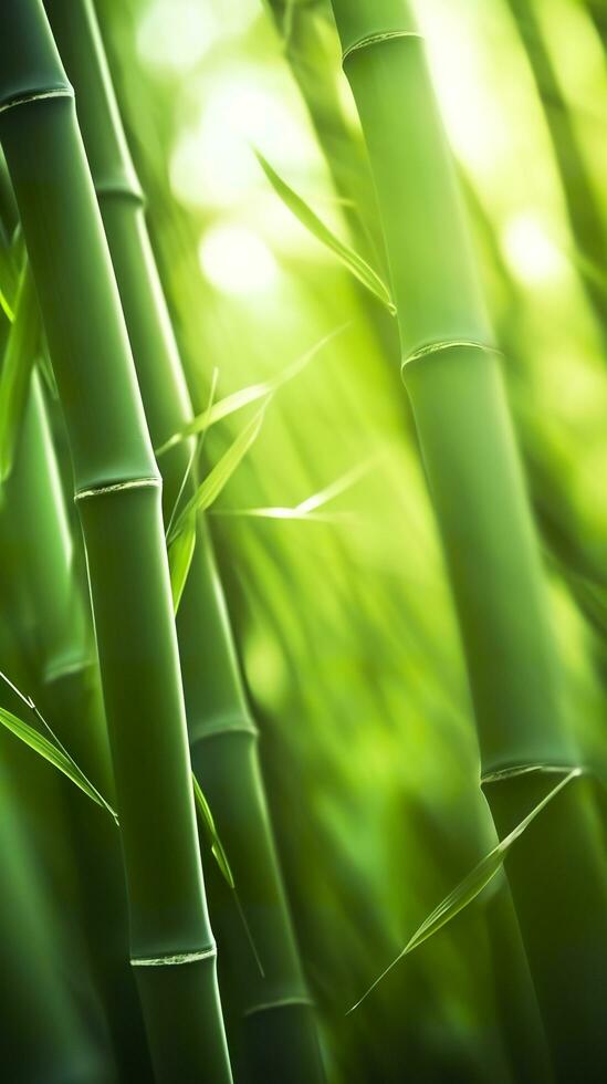 The Green Bamboo Forest. A Place of Peace and Tranquility. AI Generative photo