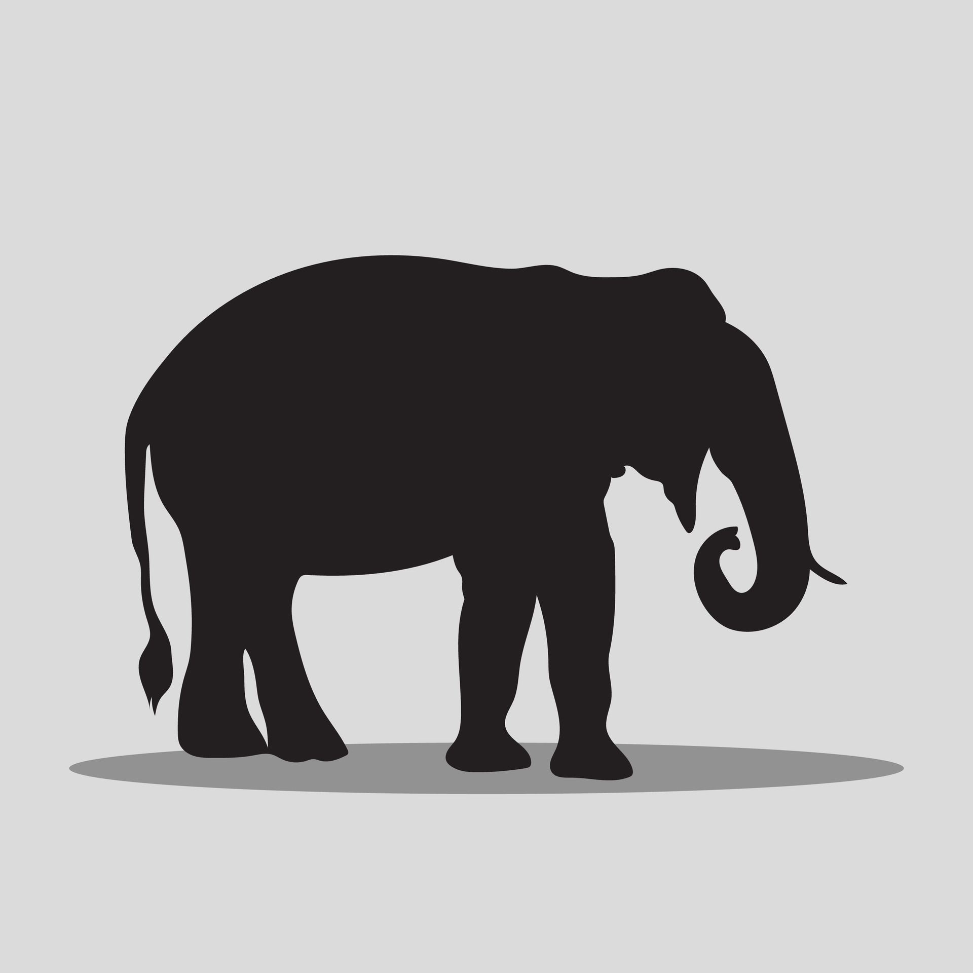 Elephant vector art 29282417 Vector Art at Vecteezy