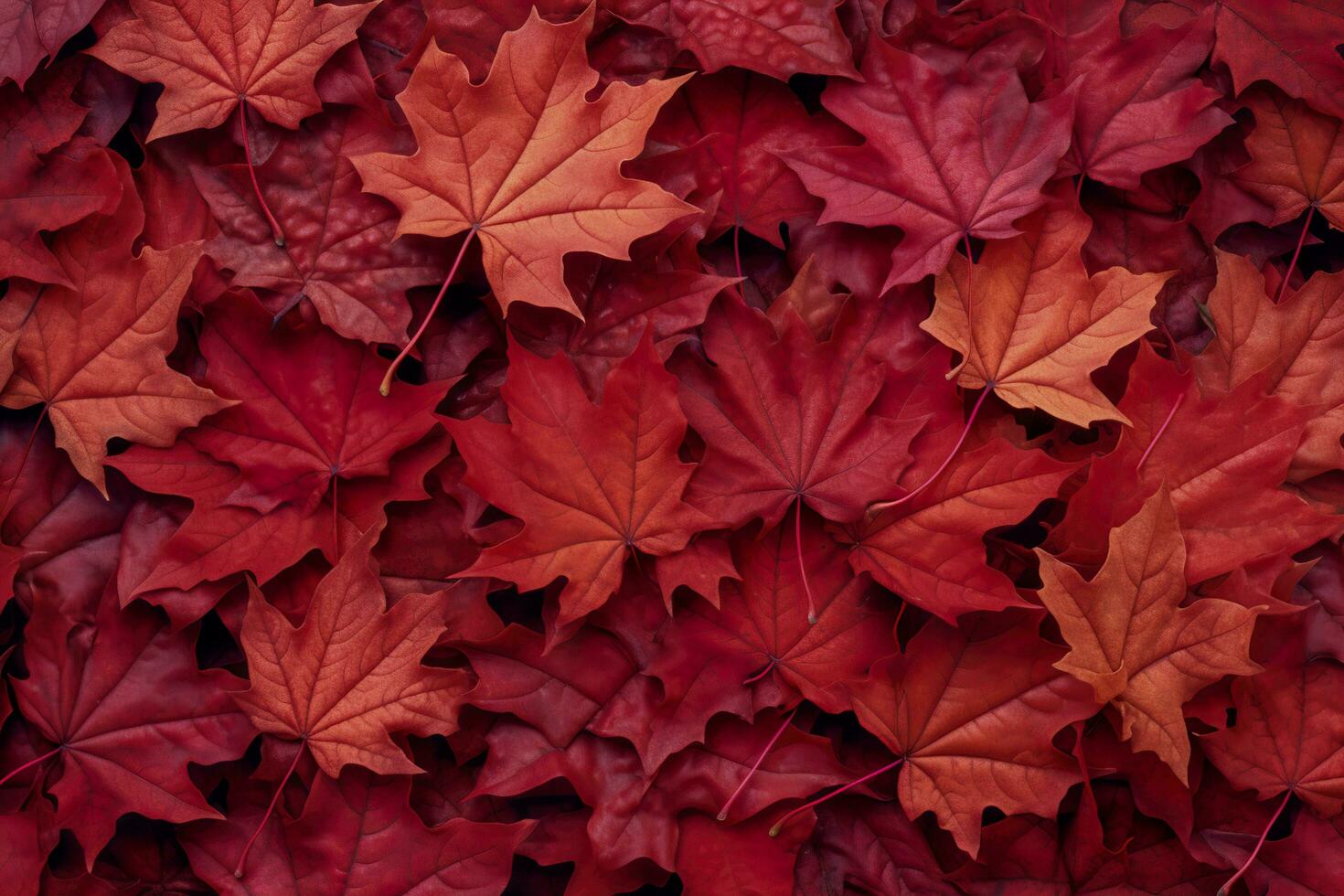 Wine red autumn leaves texture, fall nature background,  AI Generative photo