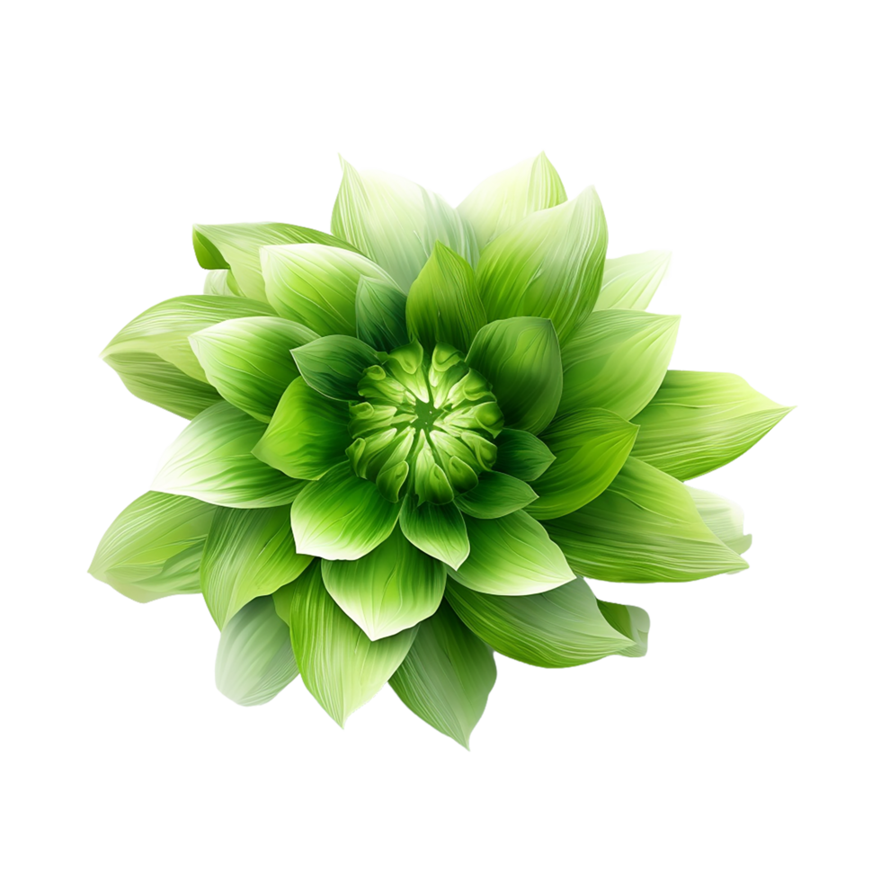 Green Flower, Green Flower Png, Green Flower Clipart, Transparent Background, AI Generative png