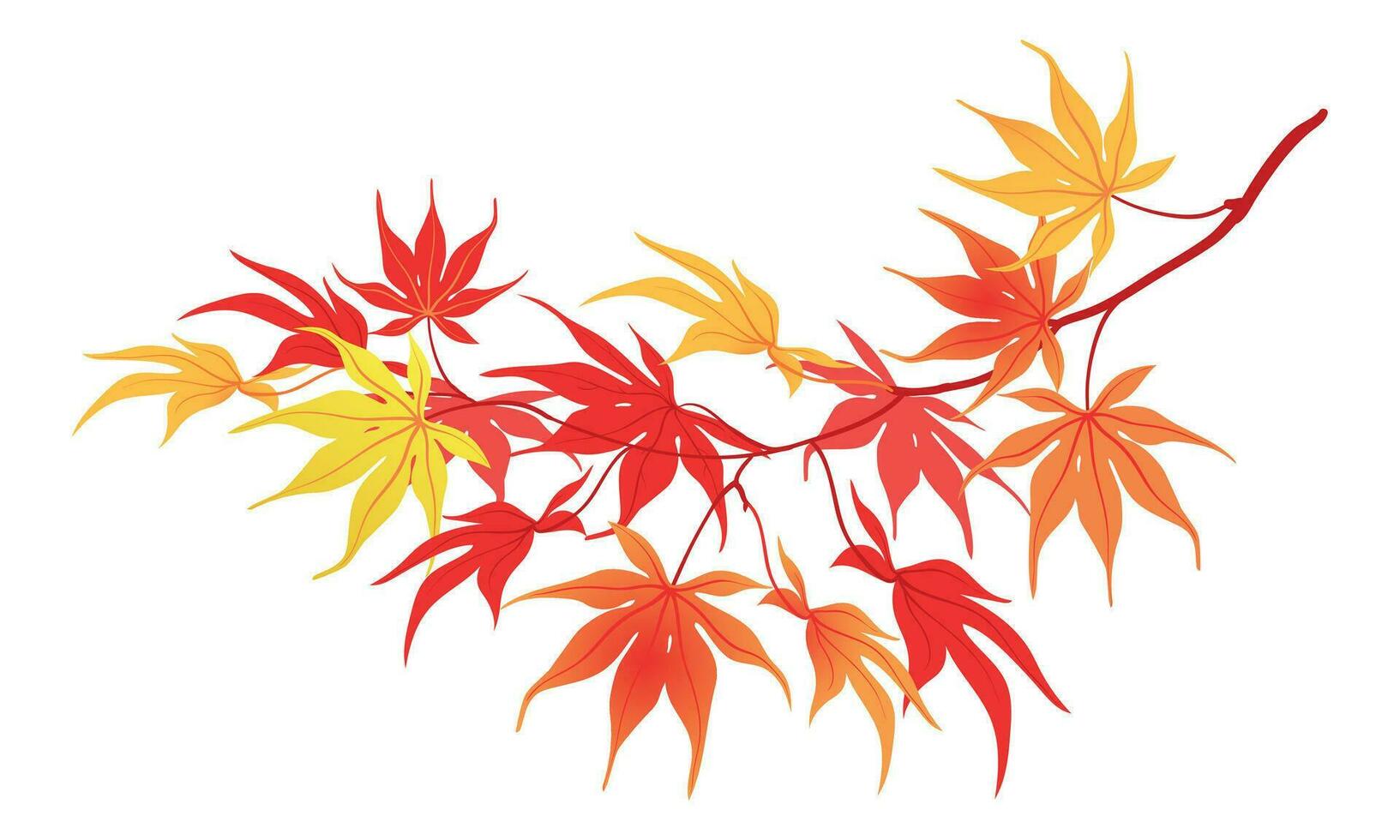 Autumn branch on a white background. The time of leaf fall. The red leaves of the Japanese maple fall down, fluttering in the wind. Vector illustration.