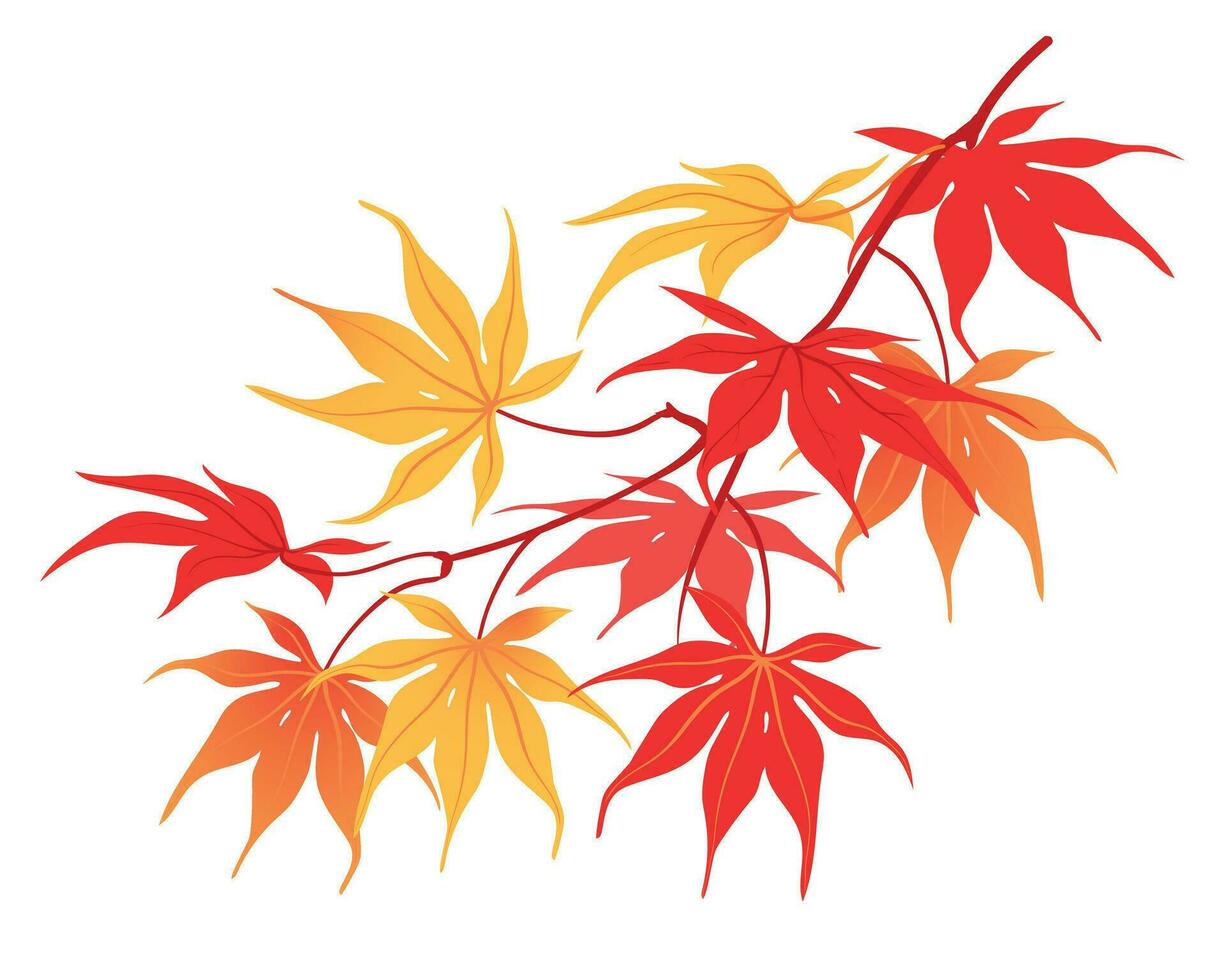 otoño rama en un blanco antecedentes. el hora de hoja caer. el rojo hojas de el japonés arce otoño abajo, revoloteando en el viento. vector ilustración.