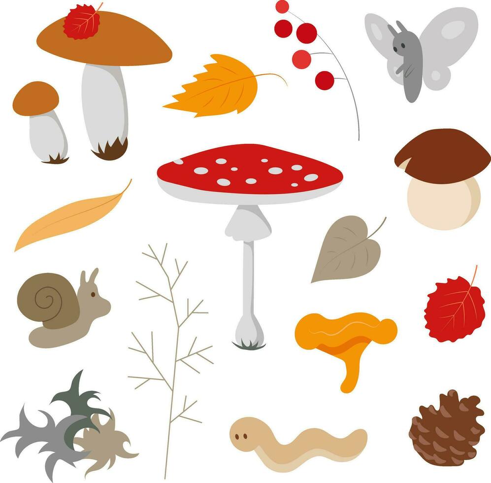 Cozy cute colorful autumn forest floor with mushrooms plants creatures vector collection on white