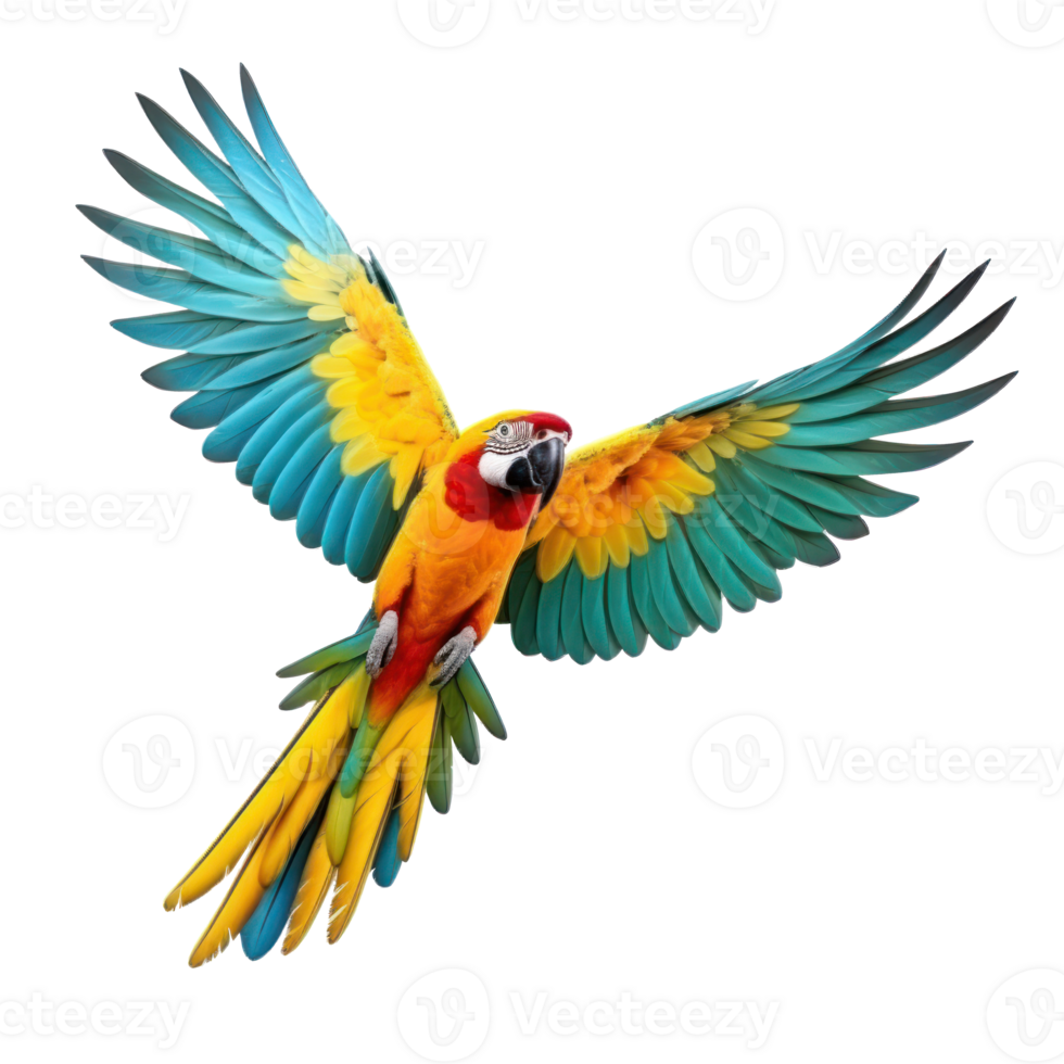 Colorful flying parrot isolated png