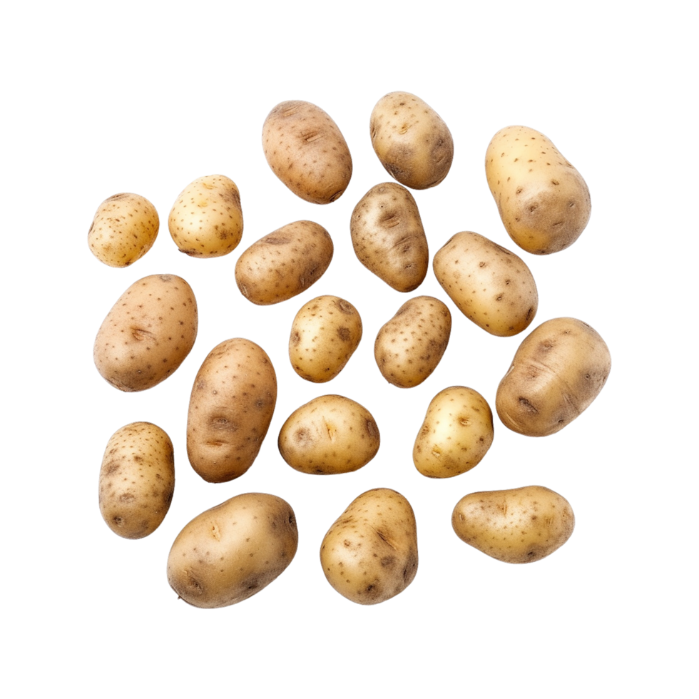 Patate png, beaucoup Patate png, pomme de terre, transparent arrière-plan, ai génératif png