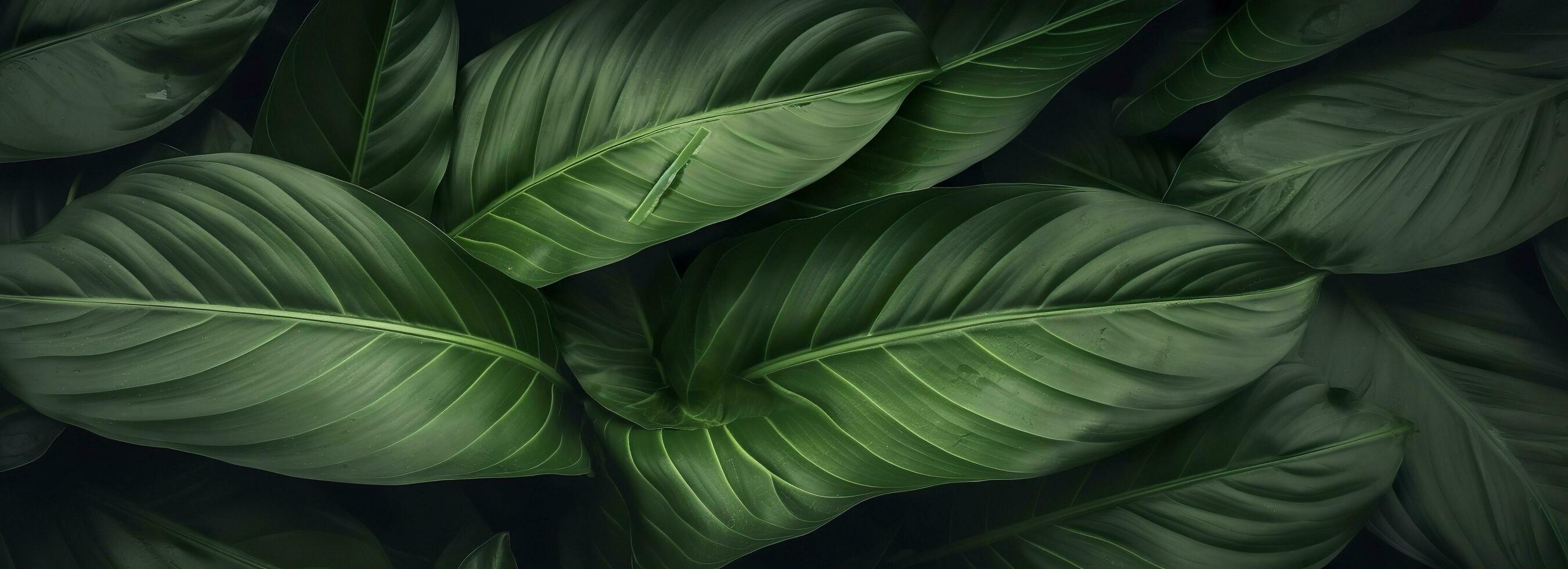 Abstract green leaf texture with nature background, tropical leaf. Generative AI photo