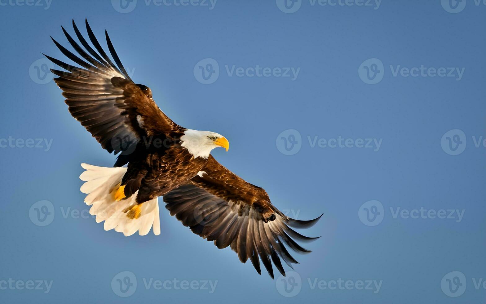 Masterful Majesty, A Breathtaking Glimpse of the Bald Eagle's Commanding Flight. AI Generated photo