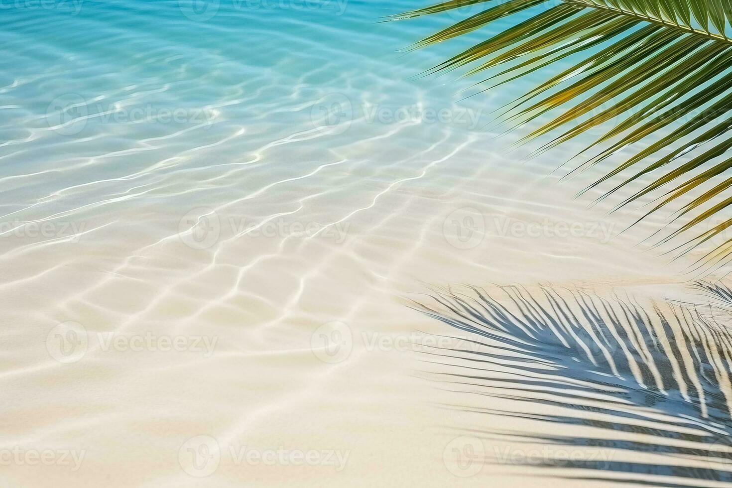 Beautiful palm leaf shadow on abstract white sand beach with sunlit water surface a perfect summer vacation background photo