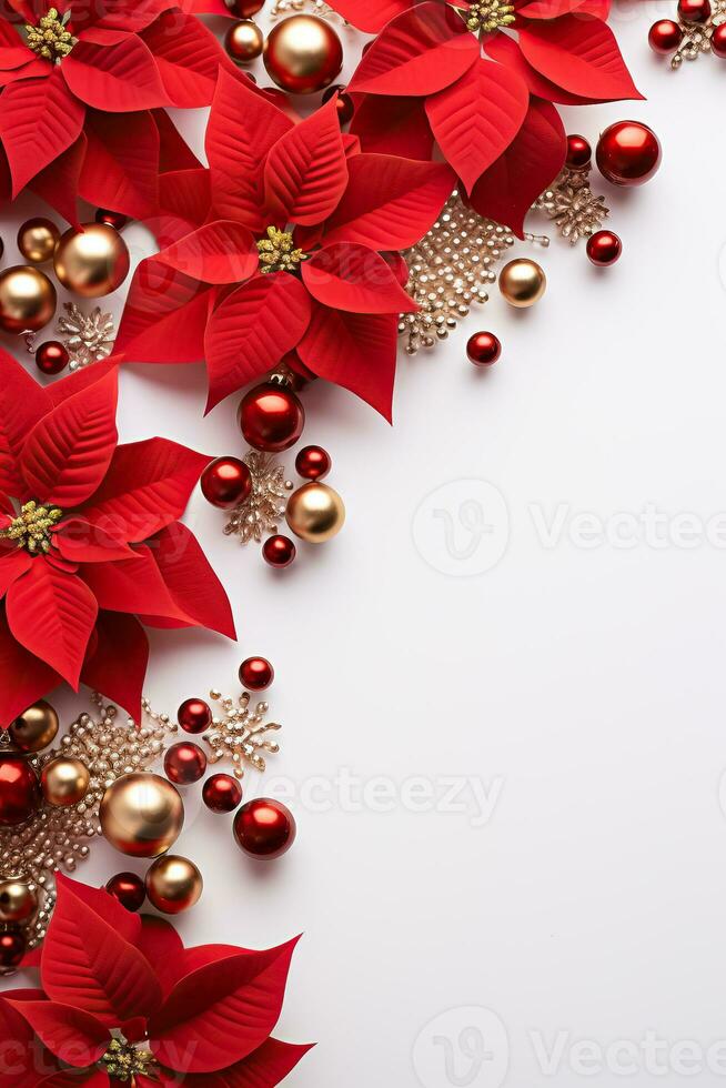 Christmas decoration Red poinsettia flowers tree branches ball and berries on white background with text space photo