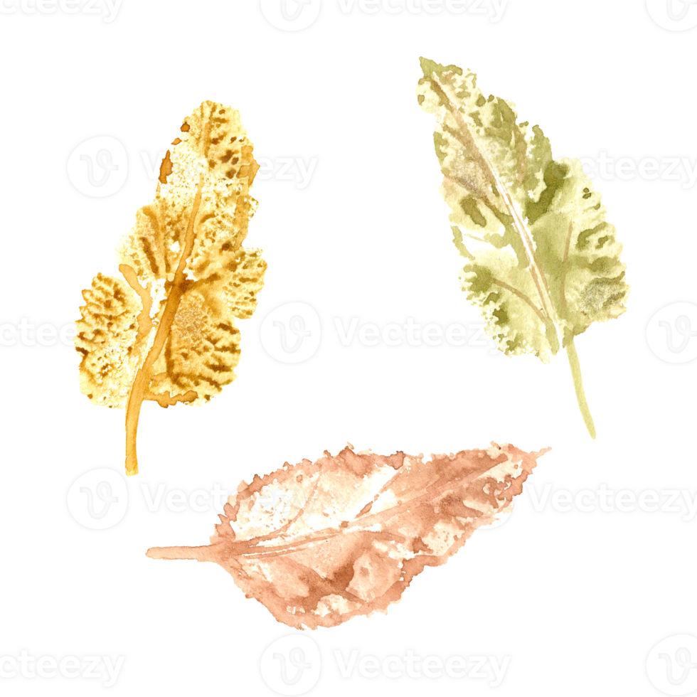 Creative Leaves Imprint in autumn colors. Set of fall dry leaves. Watercolor illustration of colorful silhouettes for posters, texture, frame, flyers png