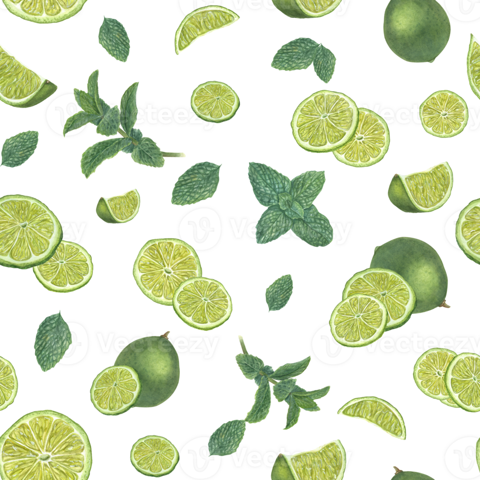Fresh lime slices and green mint leaves. Seamless pattern for textile, room decor, print wrapping, scrapbook. Watercolor illustration of summer fruit composition png