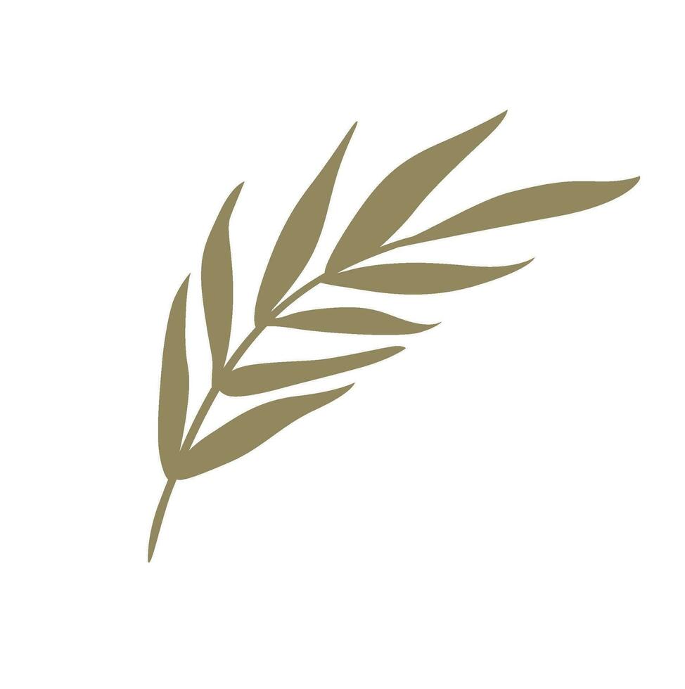 Tropical Palm Leaf Vector Illustration isolated on white. Exotic green leaves. Minimalist shape