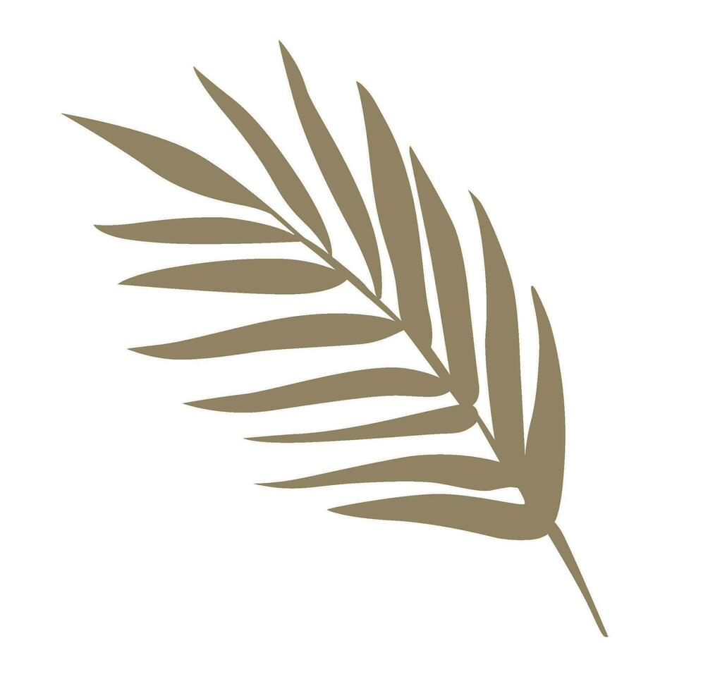 Tropical Palm Leaf Vector Illustration isolated on white. Exotic green leaves. Minimalist shape