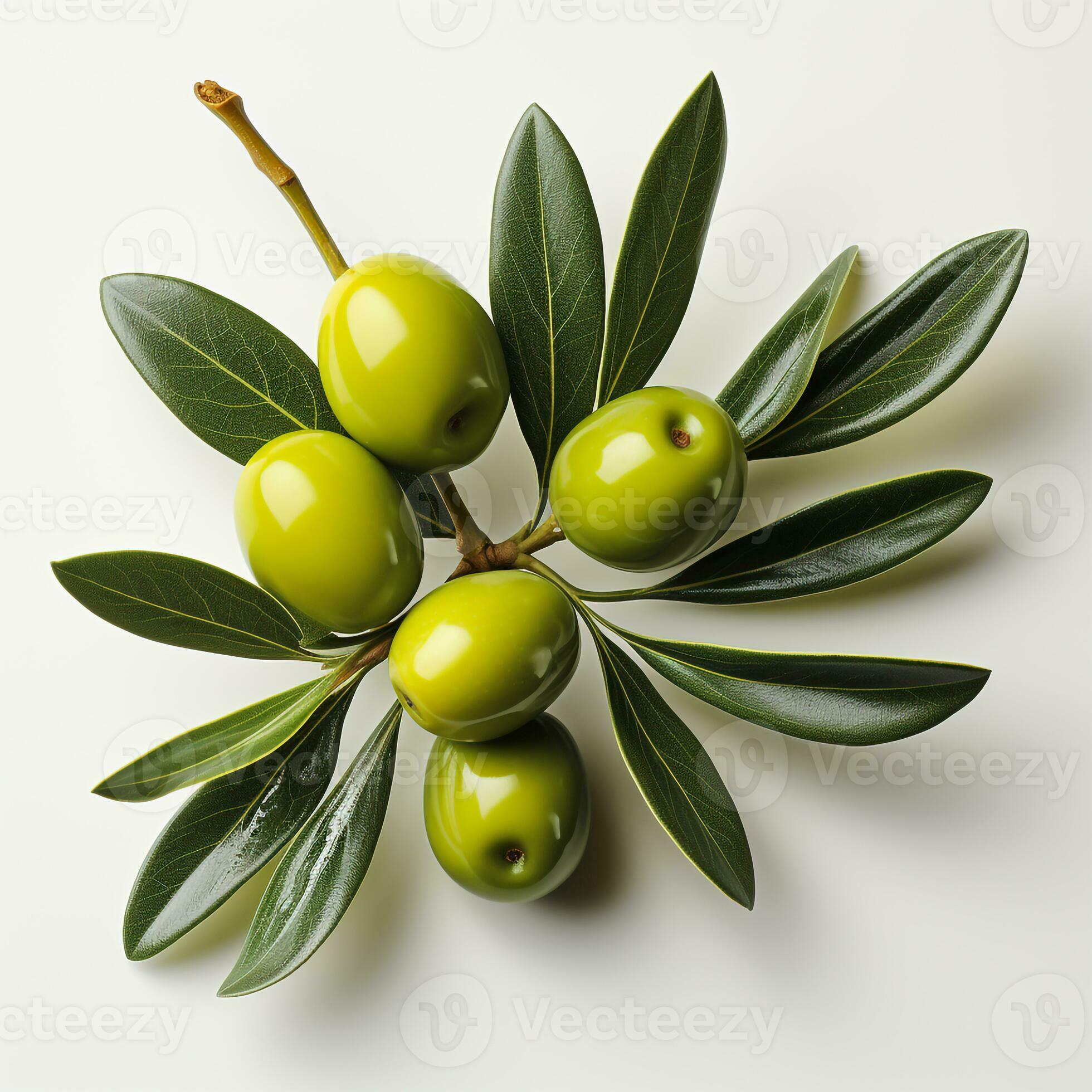 Fresh ripe olives are yellowish green in color 29287791 Stock