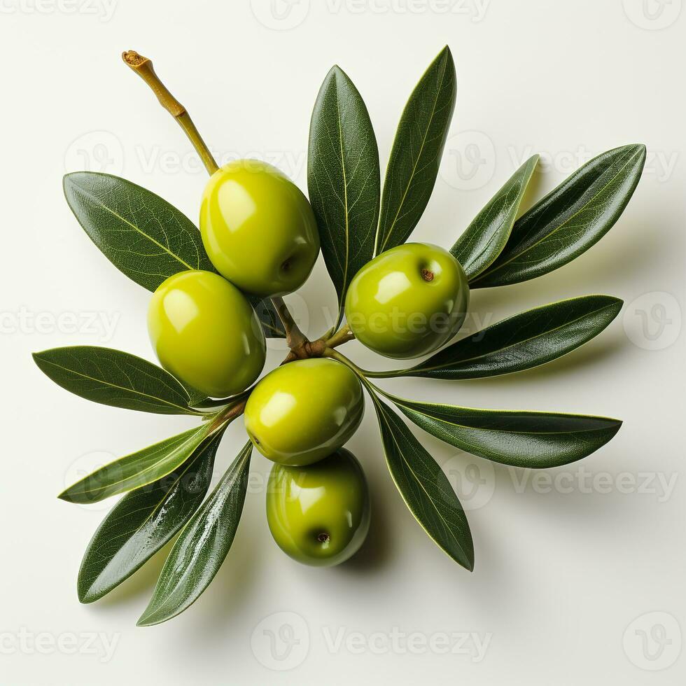 Fresh ripe olives are yellowish green in color photo