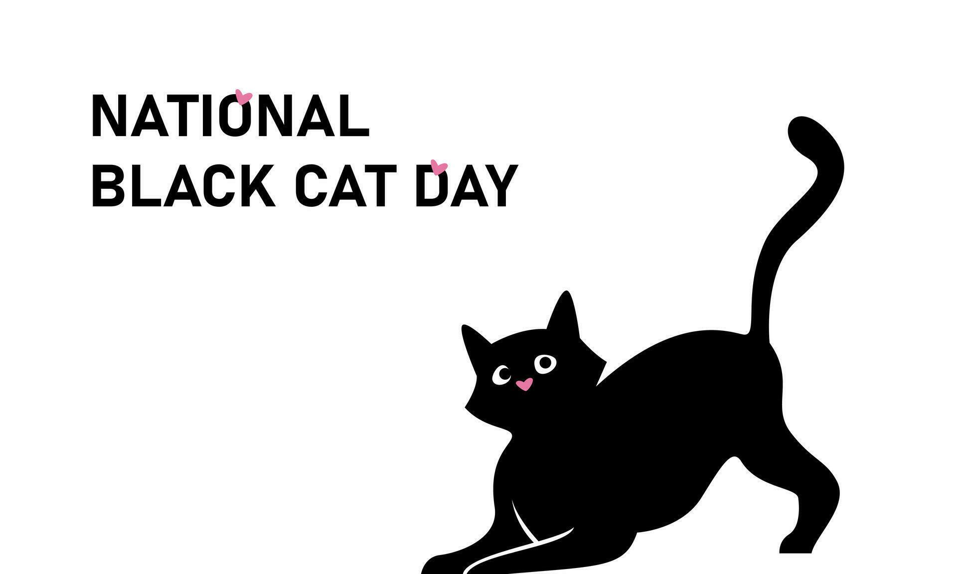 National Black Cat Day. Black playful cat. Vector banner on white