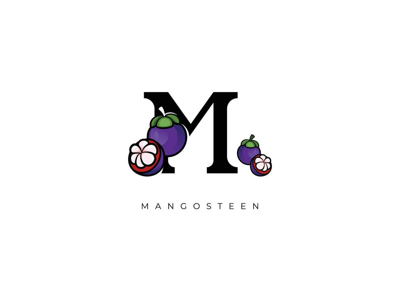 FRUIT VECTOR - MANGOSTEEN