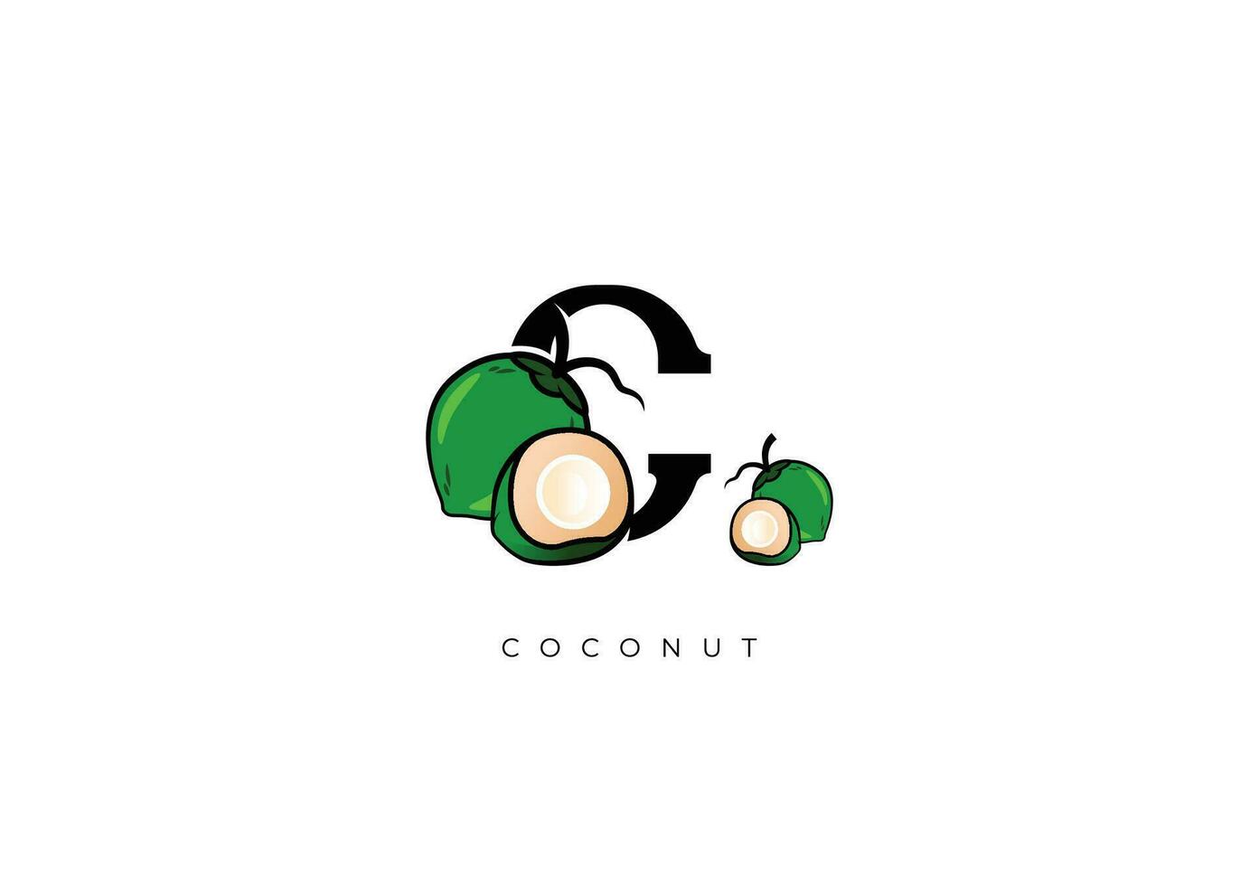 Fruta vector - Coco