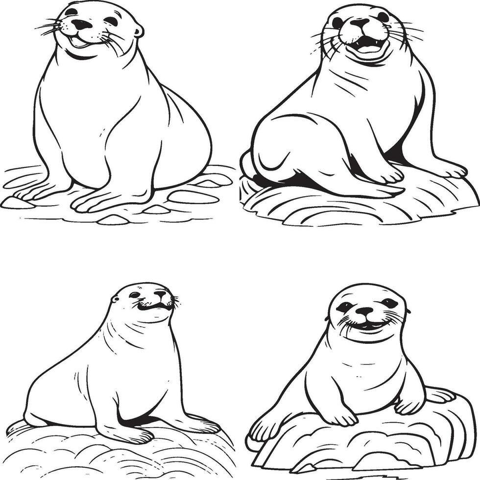 coloring pages for kids seal vector
