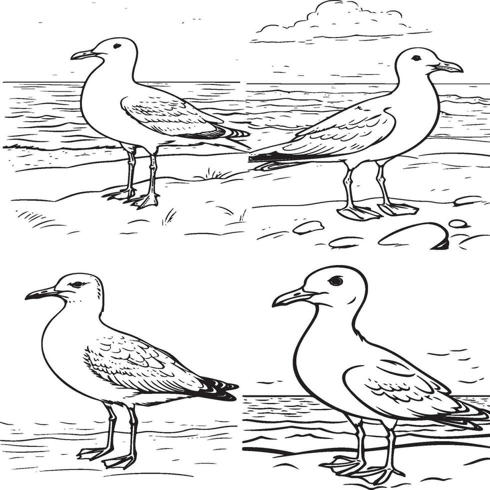 a friendly seagull standing on a sandy beach vector