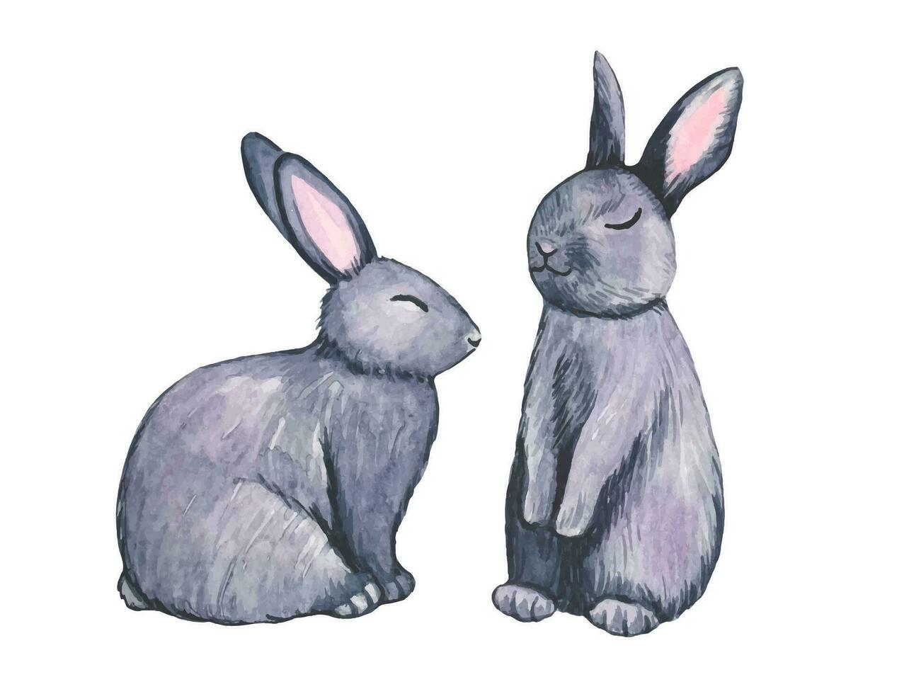Hand drawn gray rabbits , watercolor vector