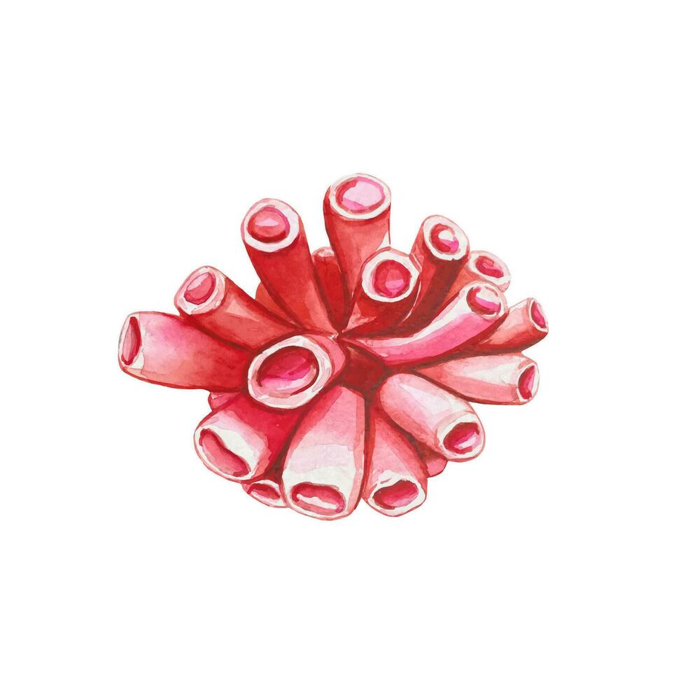 Hand drawn red tube sponge, watercolor vector