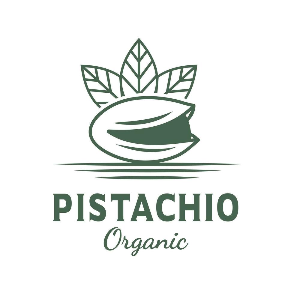 Pistachio nuts, along with their green leaves, represent a healthy and natural source of nutrition vector