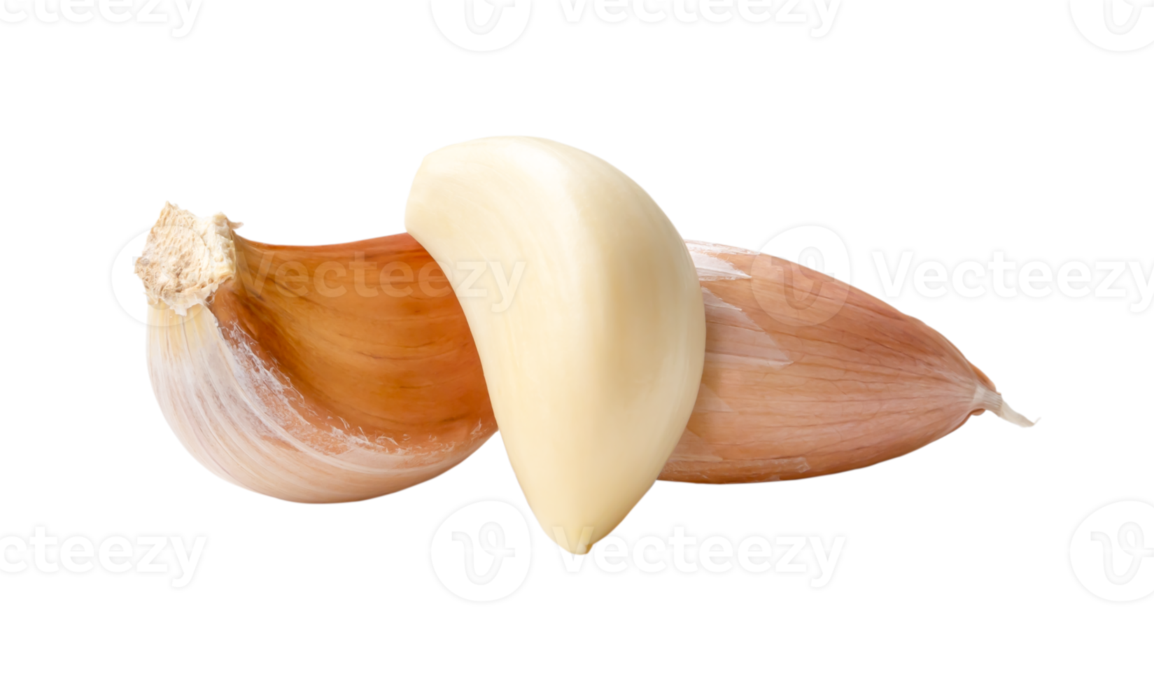 Front view of fresh garlic cloves in stack isolated with clipping path in png file format Close up photo