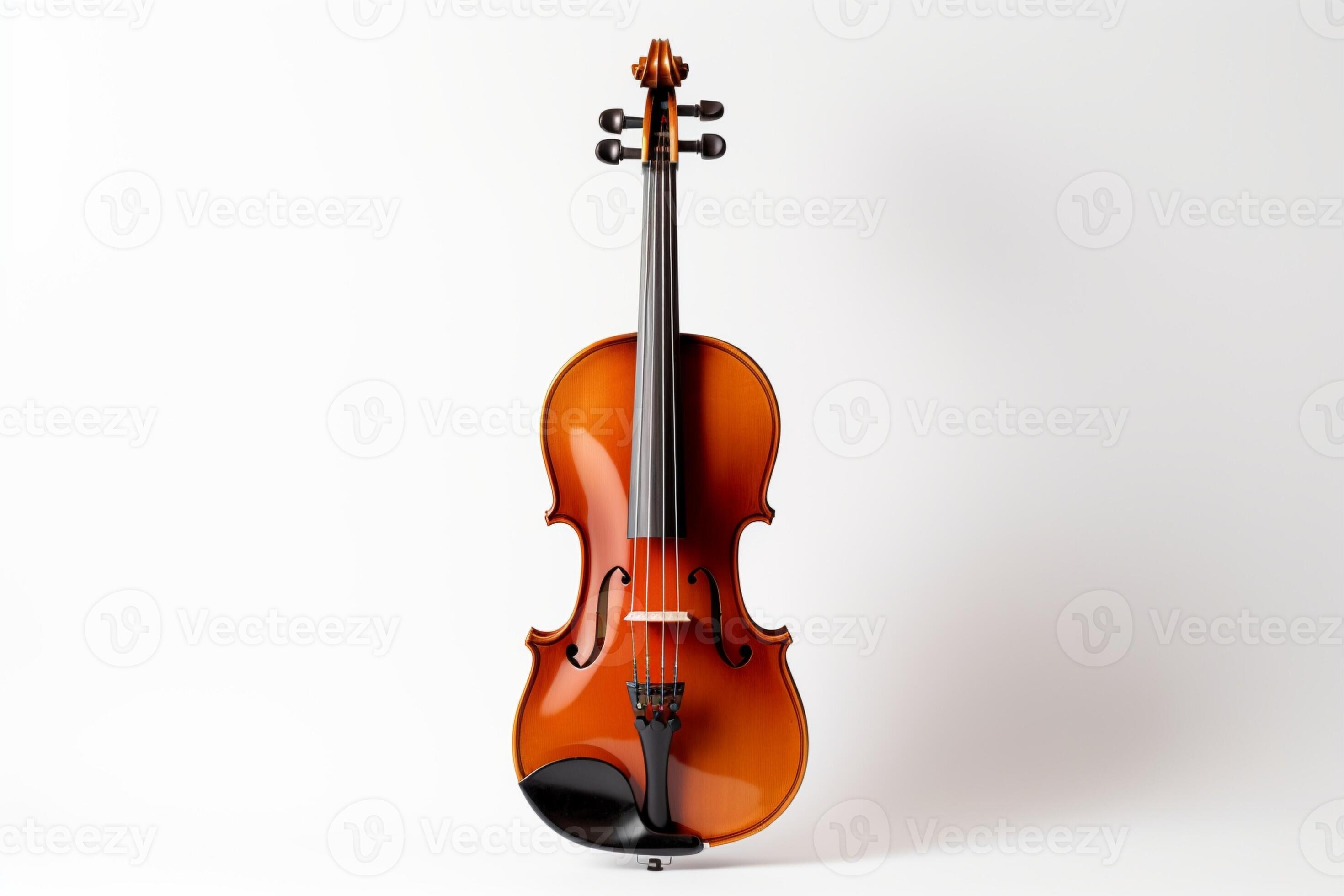 A violin and its bow elegantly contrast against a pristine white
