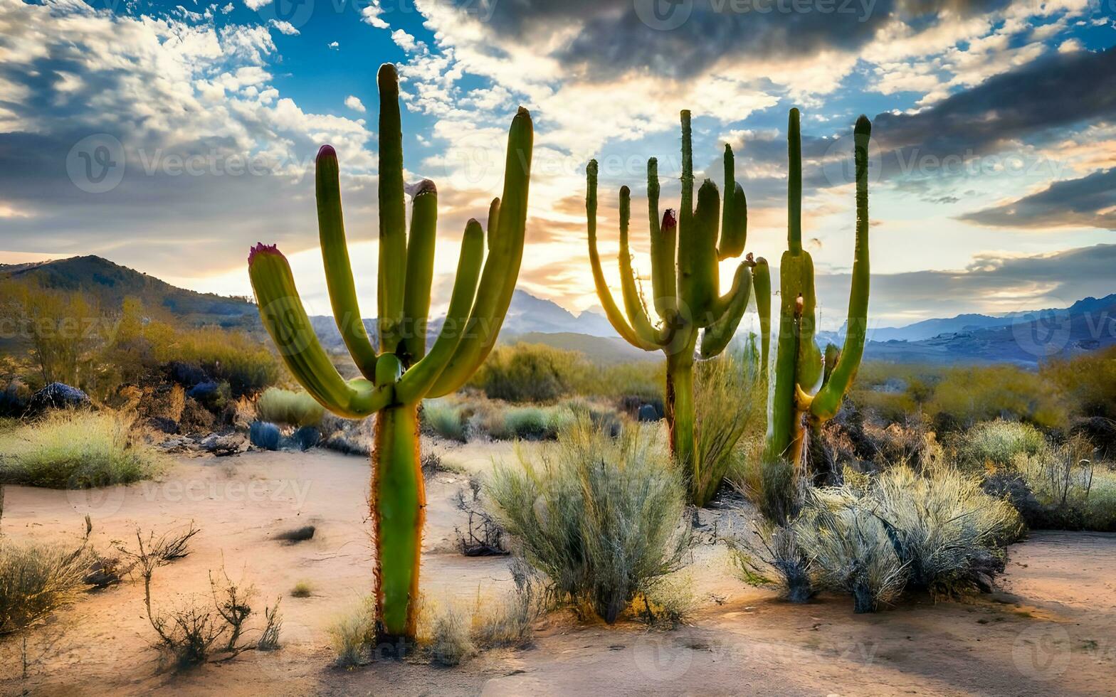 textural tapiz de Desierto cactus, explorador el intrincado y único patrones de árido belleza. ai generado foto