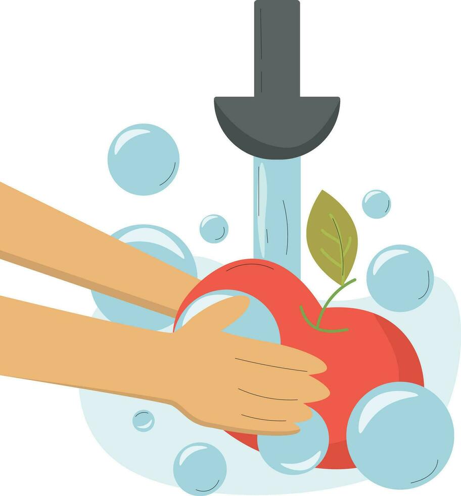 a hand washing an apple with soap and water vector