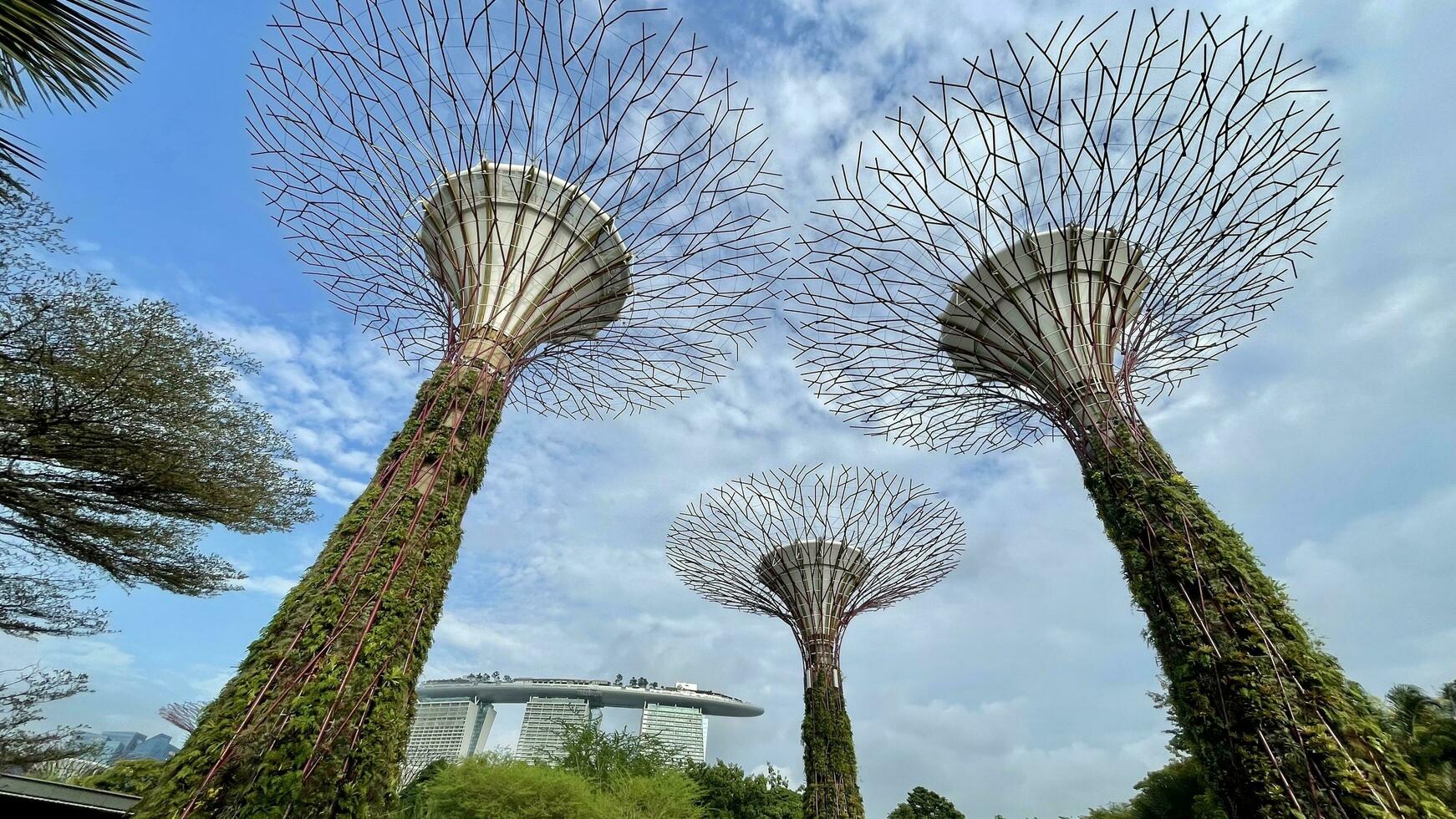 Singapore September 24 2023 Garden by the bay and view of skyscrapers see Marina Bay View of business district photo