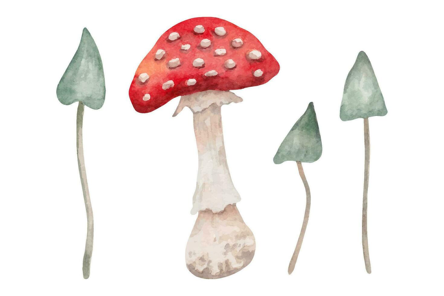 Fly agaric and blue mushrooms.Inedible poisonous mushroom.Botanical watercolor illustration.Hand drawn isolated art. vector