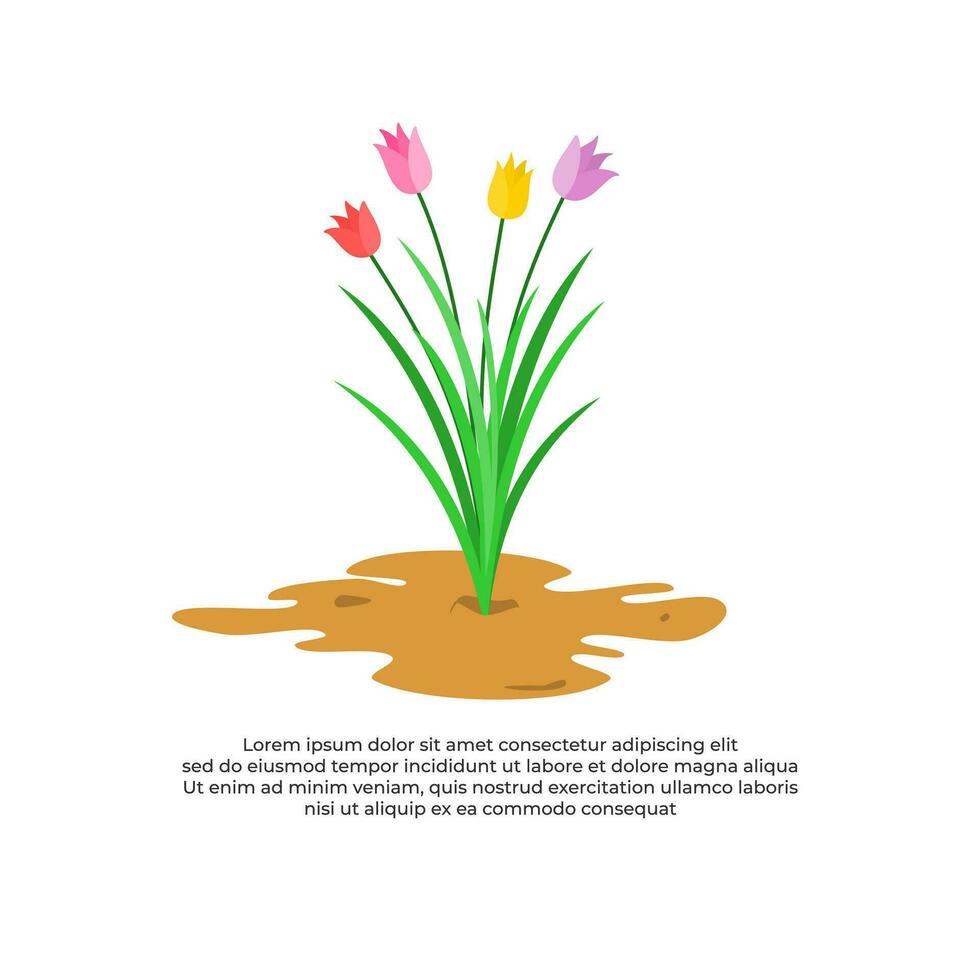 Tulip Flower Flat Design for Nature Theme vector