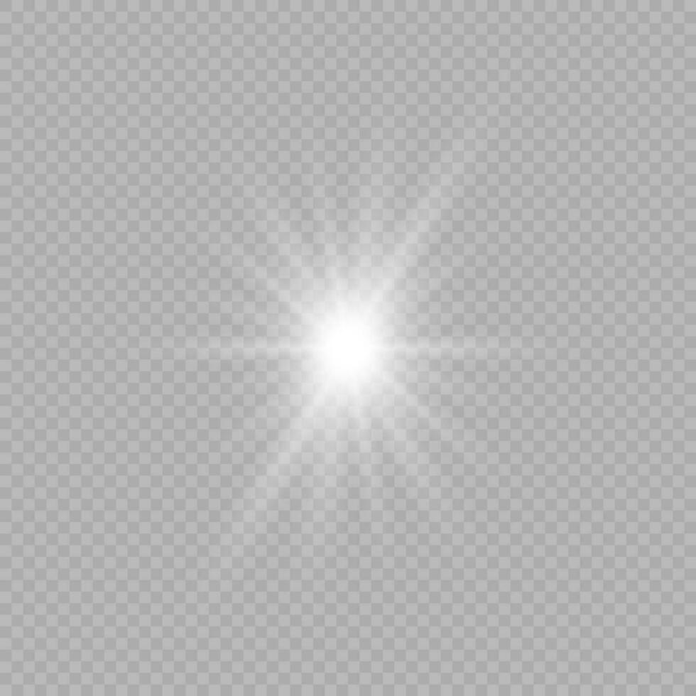 Light effect of lens flares vector