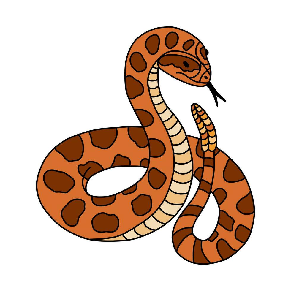 Hand drawn snake with rattle doodle with outline. Jungle or zoo rattlesnake standing in action with tongue out. Tropical or Wild West poison viper in front view. Vector green dangerous serpent.