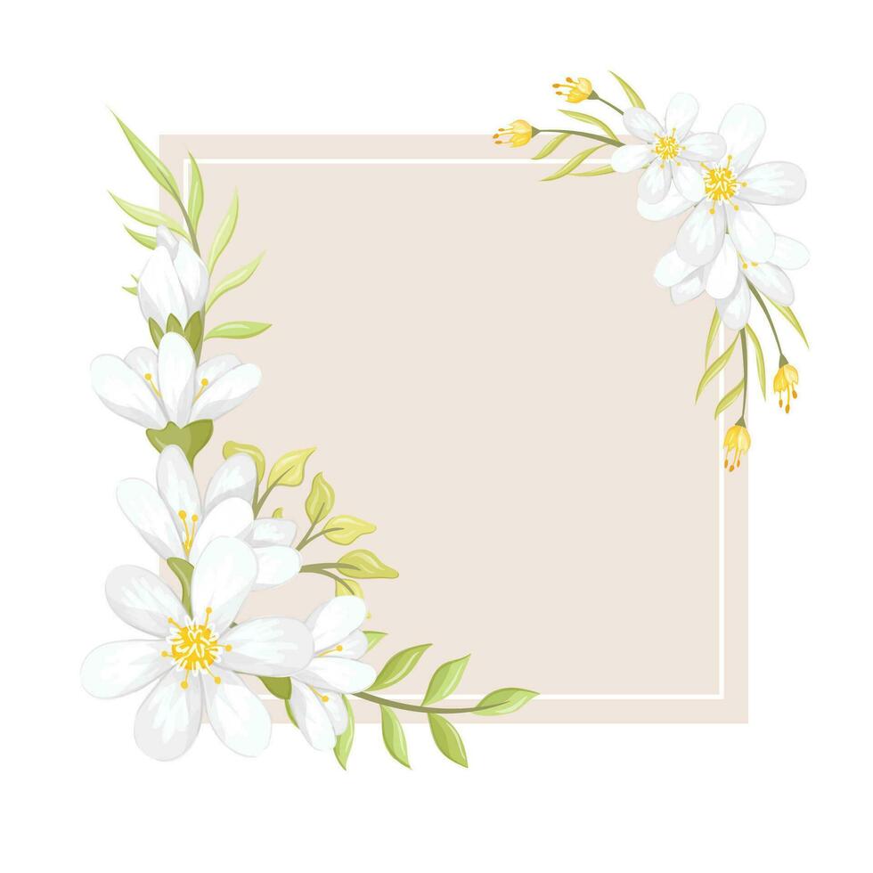 white flowers frame vector