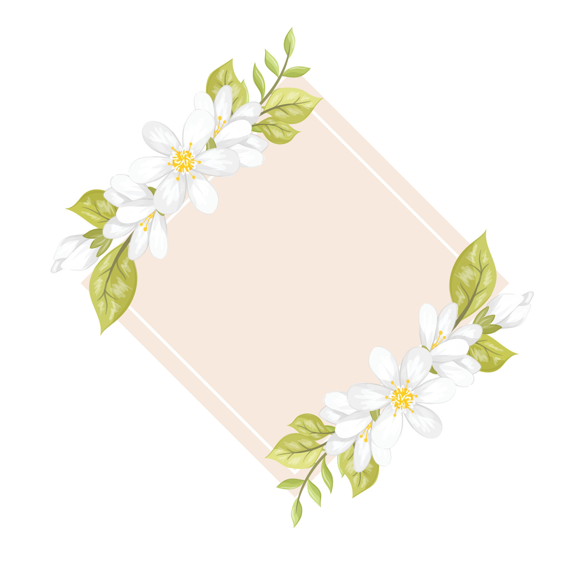 white flowers frame 29311995 Vector Art at Vecteezy