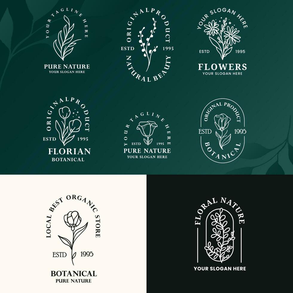 modern minimalist line art botanical baho logo design vector