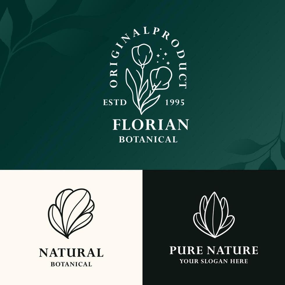 modern minimalist line art botanical baho logo design vector