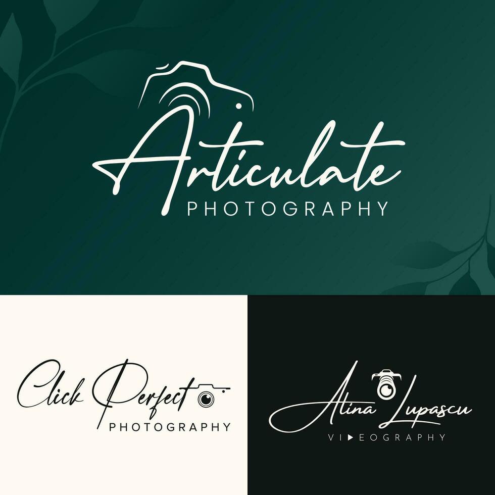 luxury cursive handwriting signature and photography logo vector