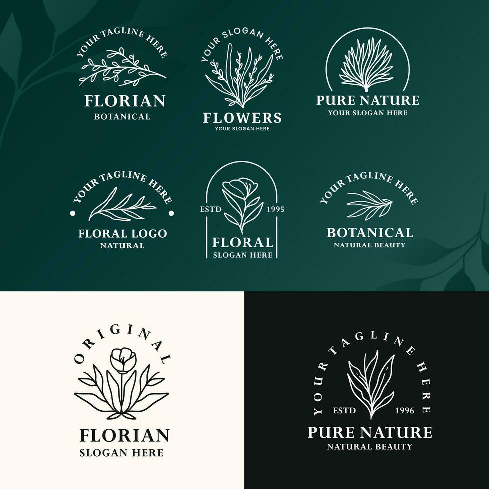modern minimalist line art botanical baho logo design vector