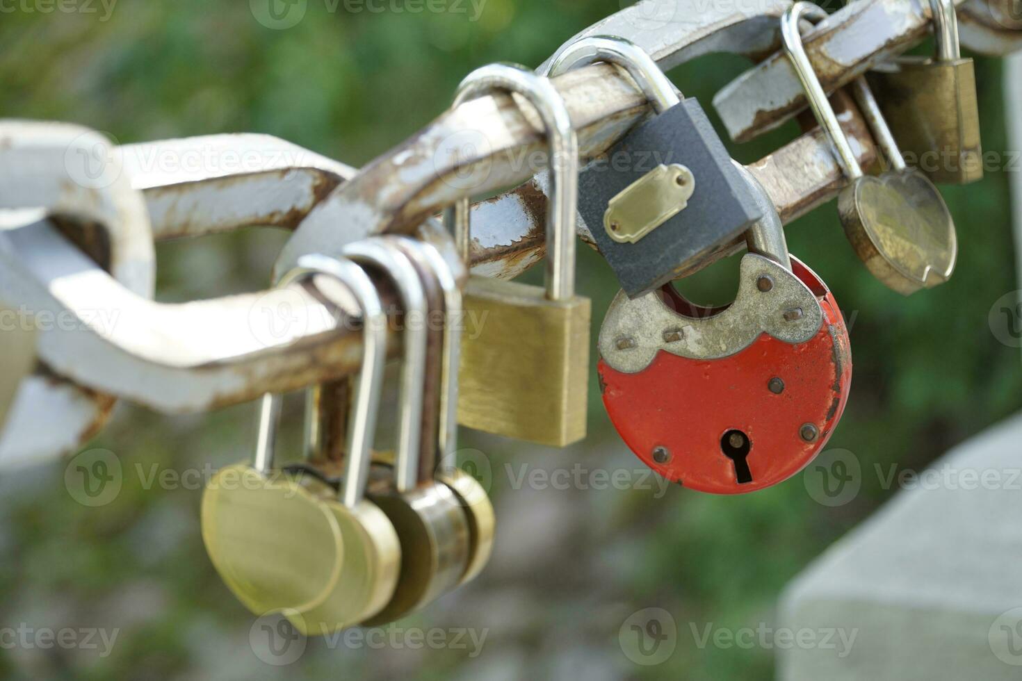 Many Padlocks Closed on Bridge Fence - Love Concept photo