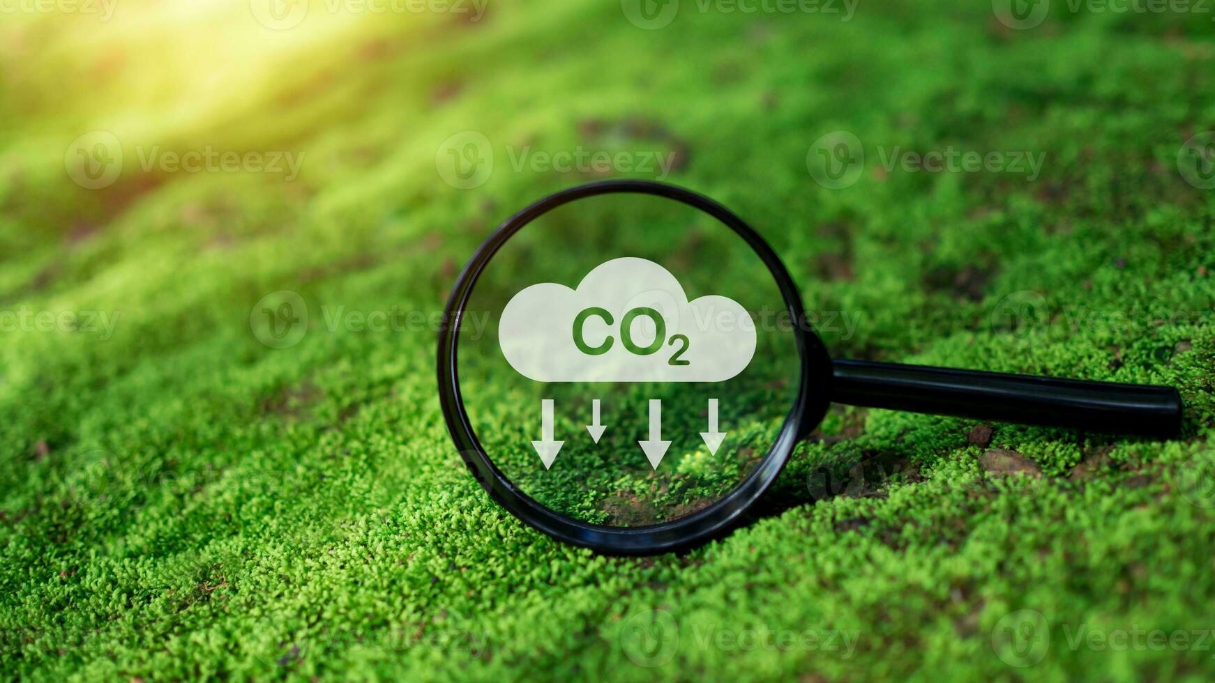 CO2 emission reduction concept, clean and friendly environment without carbon dioxide emissions. Planting trees to reduce CO2 emissions, environmental protection concept. photo