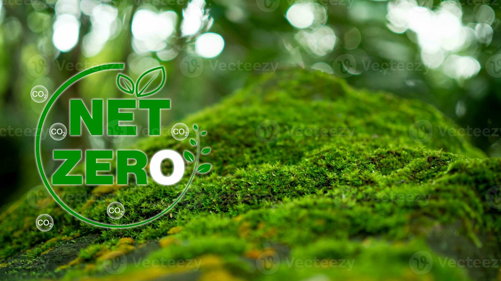 CO2 emission reduction concept, clean and friendly environment without carbon dioxide emissions. Planting trees to reduce CO2 emissions, environmental protection concept. photo