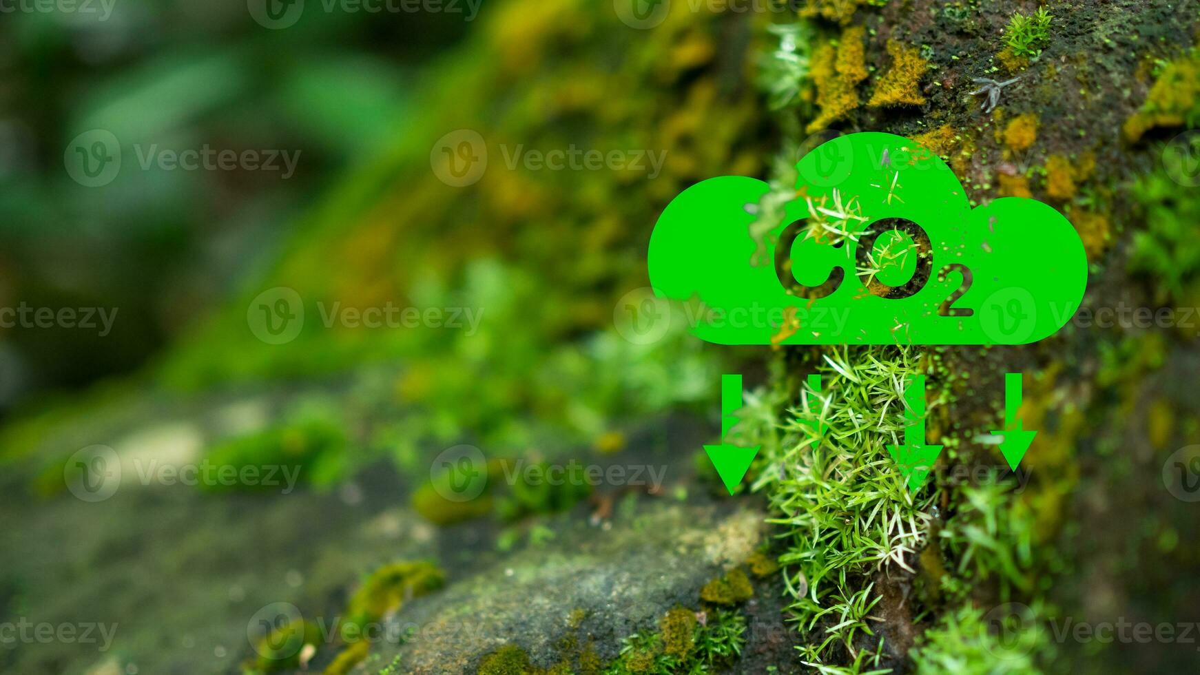 co2 emisión reducción concepto, limpiar y simpático ambiente sin carbón dióxido emisiones plantando arboles a reducir co2 emisiones, ambiental proteccion concepto. foto